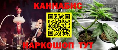 прущие крисы Гусев