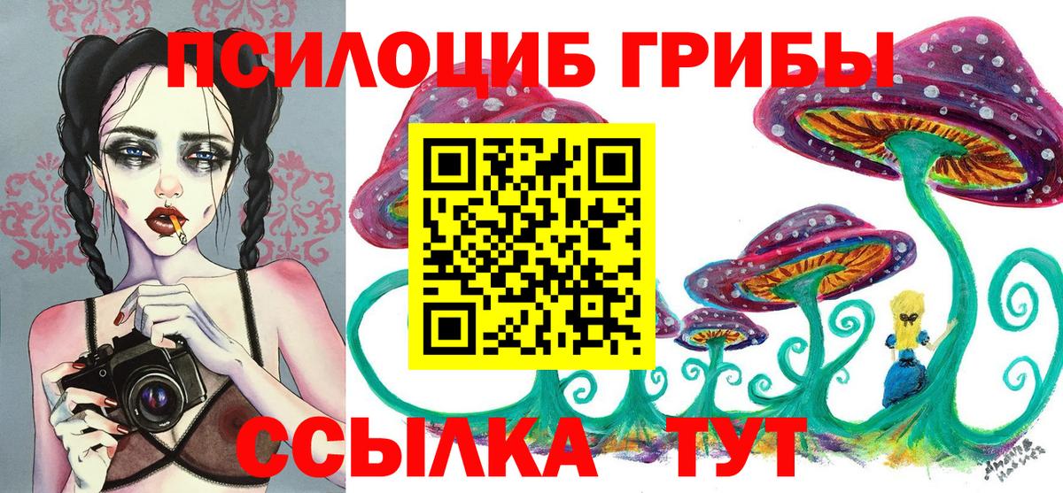 Галлюциногенные грибы Psilocybine cubensis  Вход с VPN  Каменск-Шахтинский 